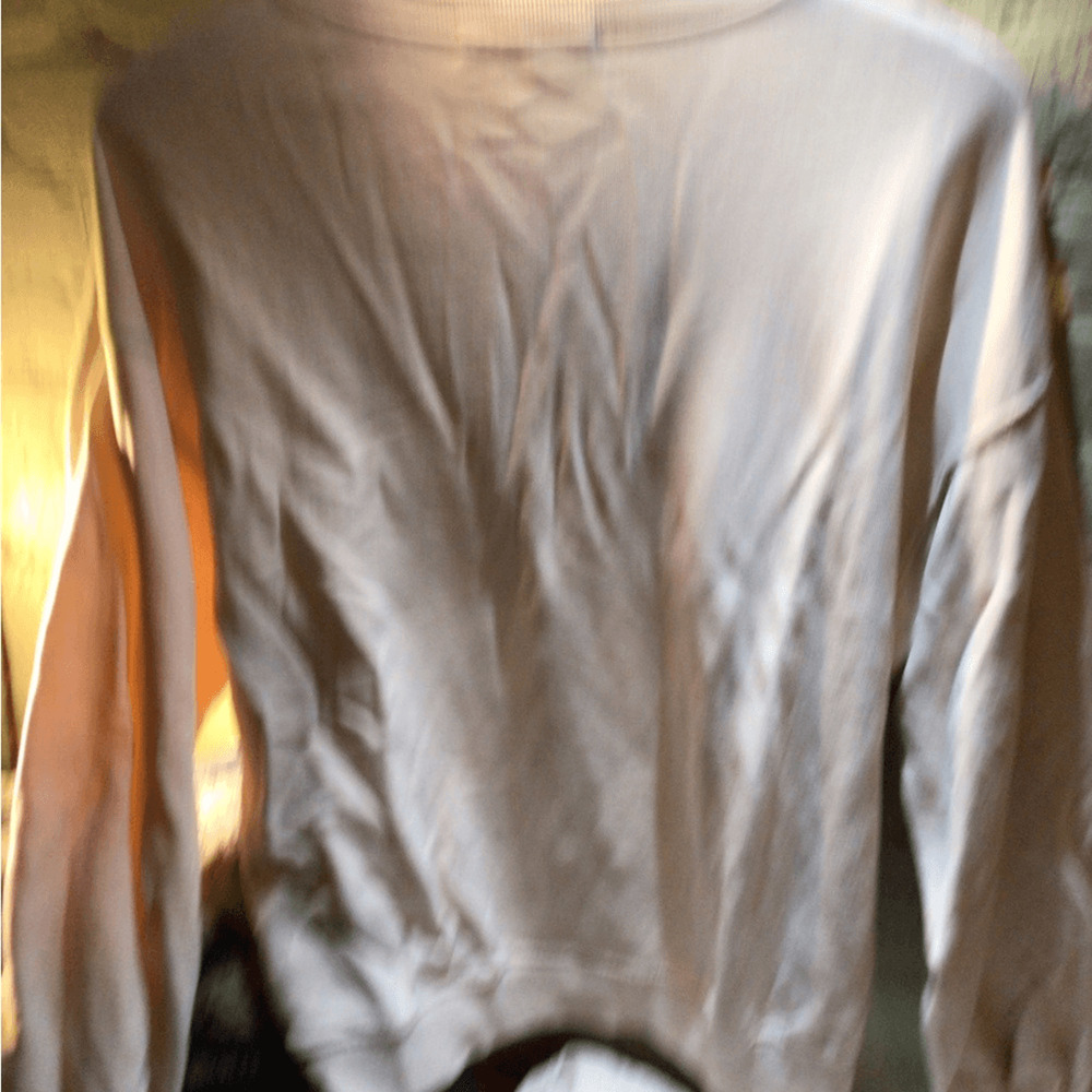 NEW ! DOORS DAYDREAMER Vintage Band Graphic Sweatshirt *read - Picture 10 of 11